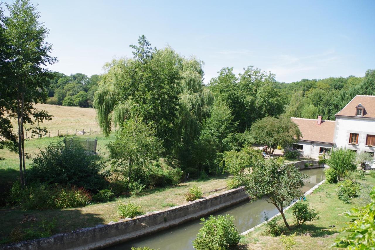 Gite Du Moulin De Vandon Souvigny-de-Touraine Kültér fotó