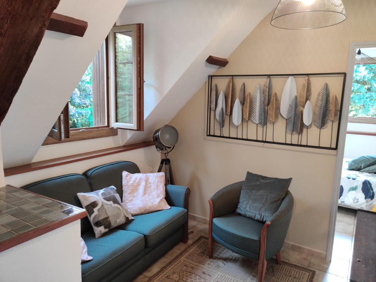 Gite Du Moulin De Vandon Souvigny-de-Touraine Kültér fotó